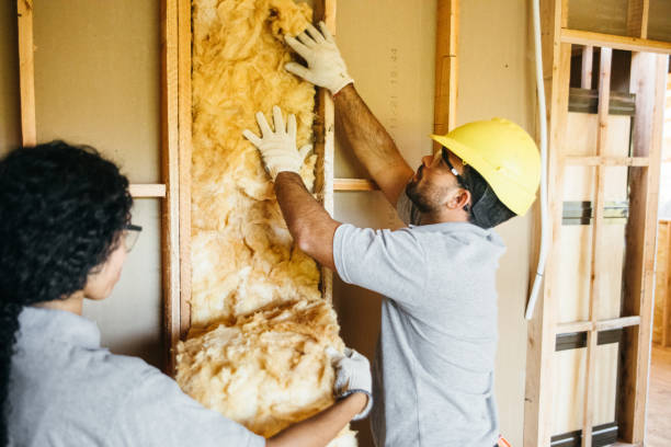 Best Basement Insulation  in , MO